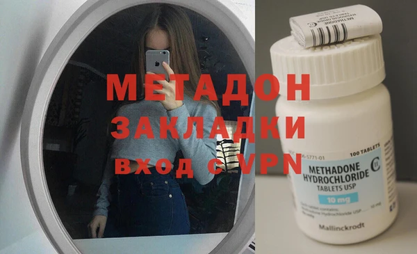 прущие грибы Волосово