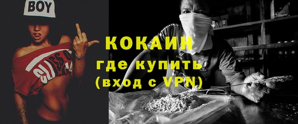 прущие грибы Волосово