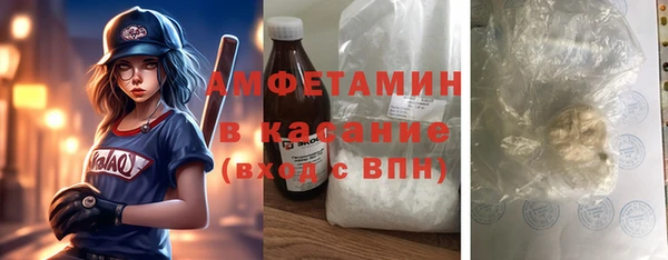 прущие грибы Волосово