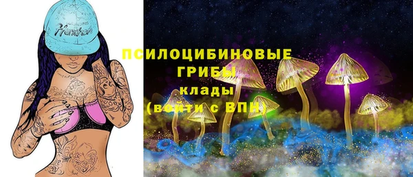 прущие грибы Волосово