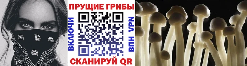 мега ТОР  что такое   Лихославль  Галлюциногенные грибы GOLDEN TEACHER 